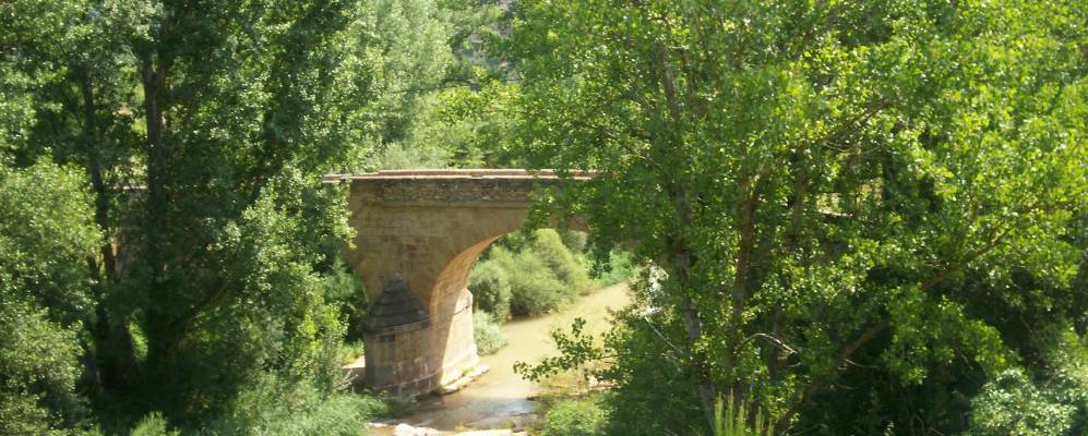 
            Фотография Ольба