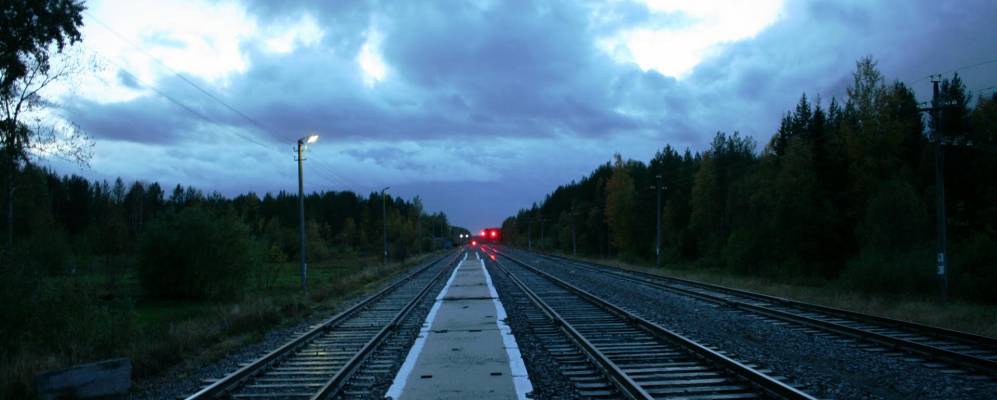 
            Фотография Каргозера