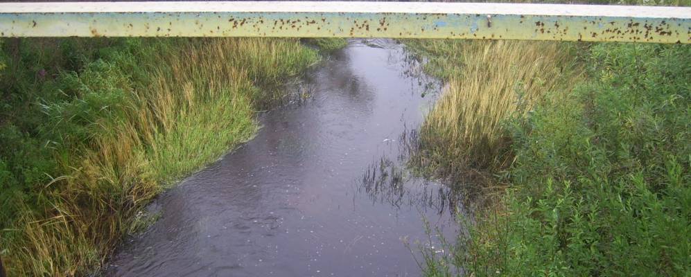 
            Фотография Дальней Поляны