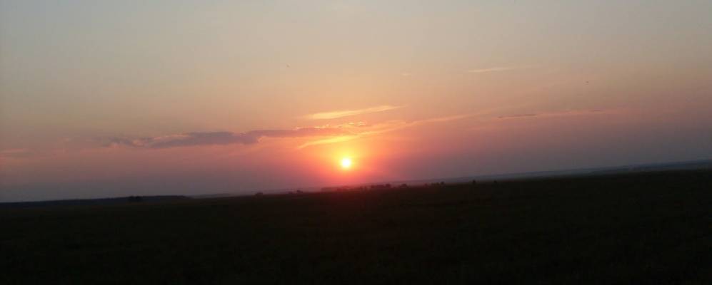 
            Фотография Сосновки