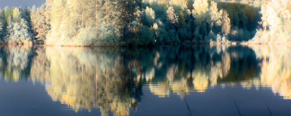 
            Фотография Горбуши