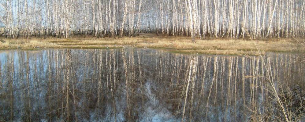 
            Фотография Мирного Поля