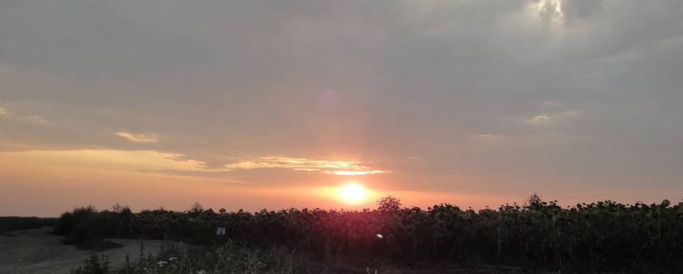 
            Фотография Шевченковки