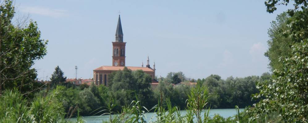 
            Фотография Чезароло