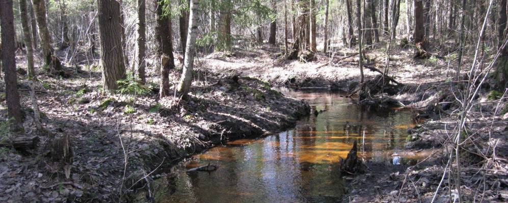 Фотография Белоглазово