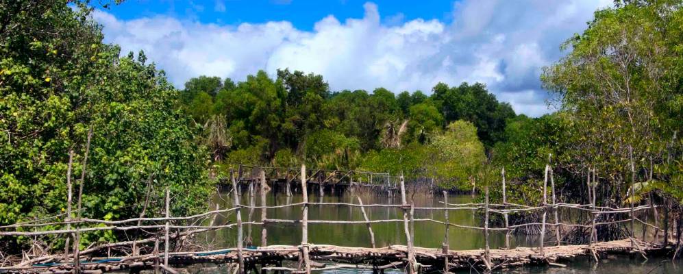 
            Фотография Ан Той