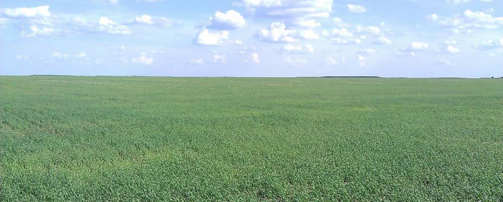 
            Фотография Шахово