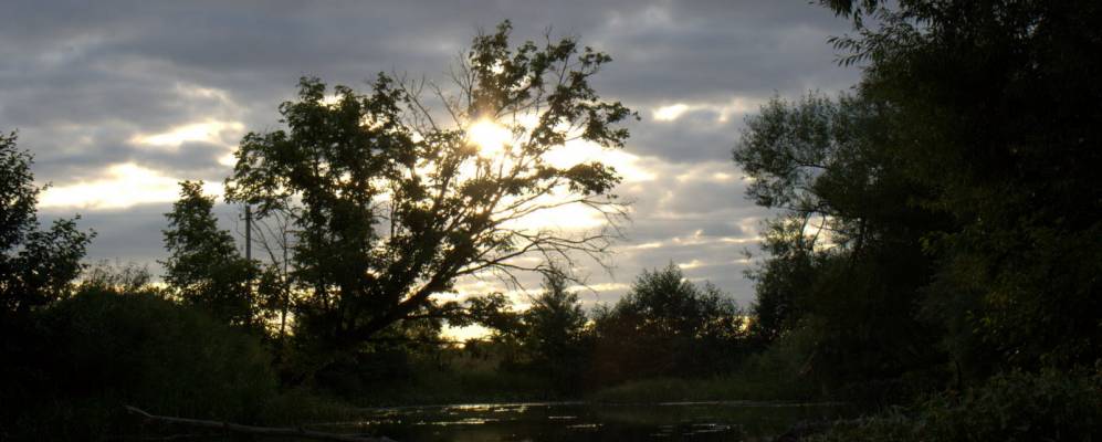 
            Фотография Секретарки