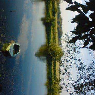 Петровский