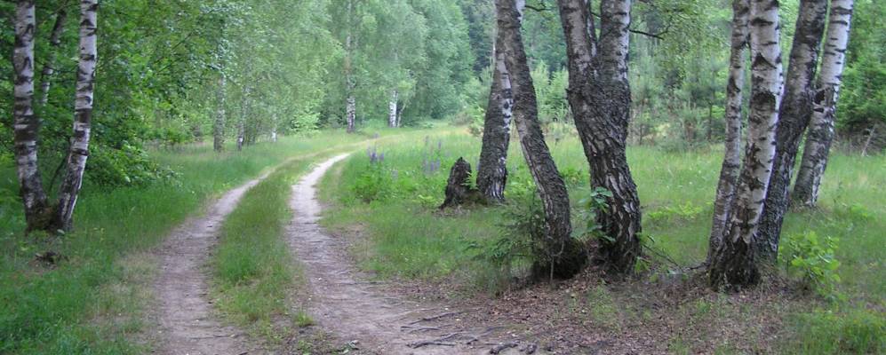 
            Фотография Захарово