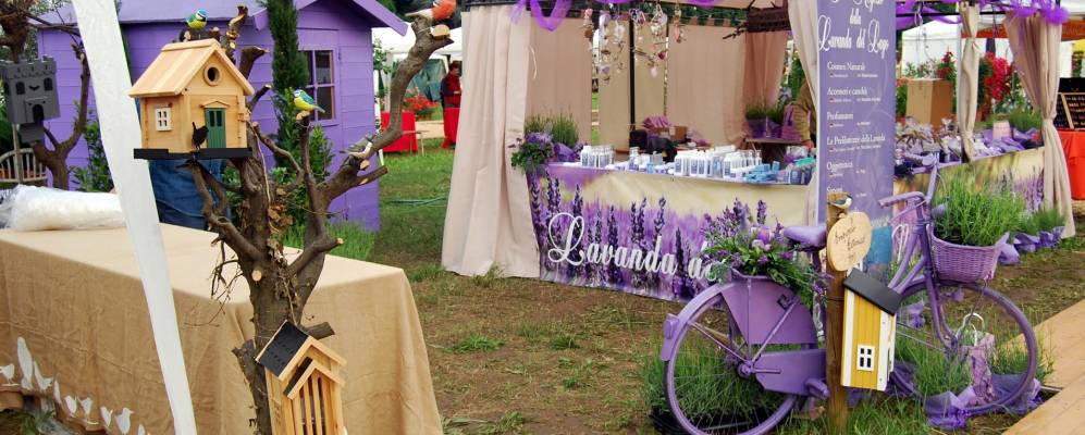 
            Фотография Каццаго-Сан-Мартино