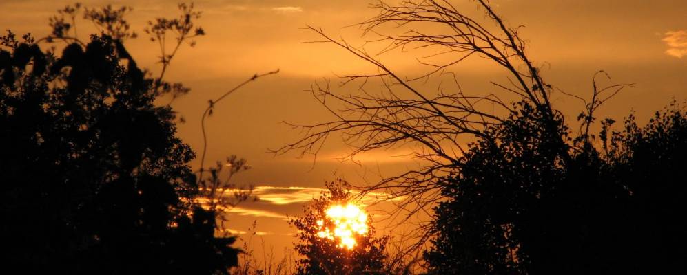 
            Фотография деревни Луки