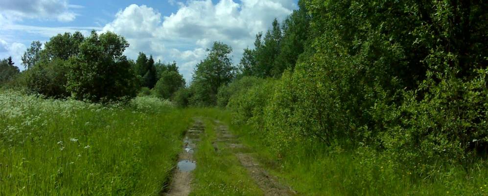 Фотография Острецово