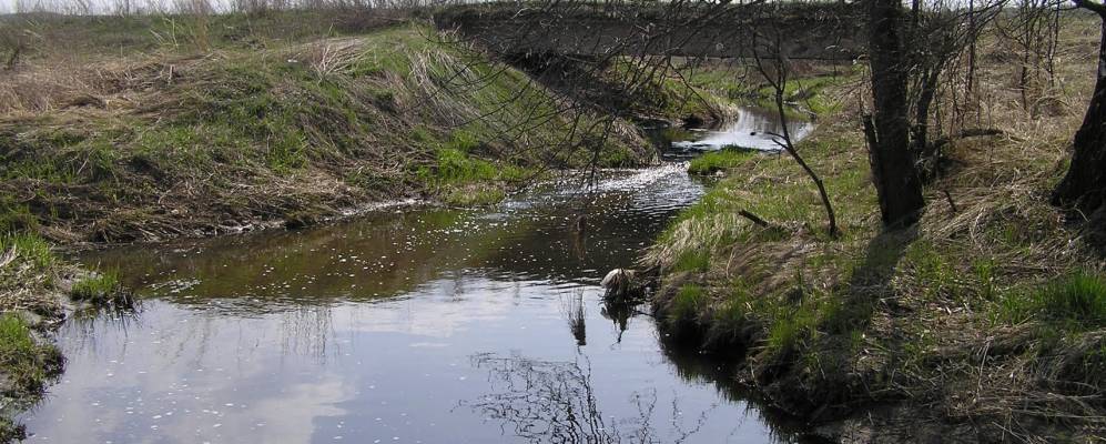 
            Фотография Подлужья