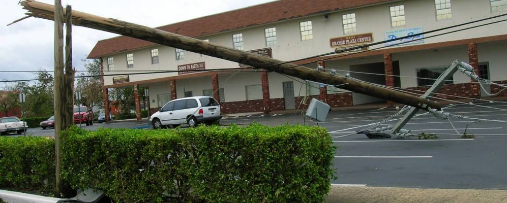 
            Фотография Дави