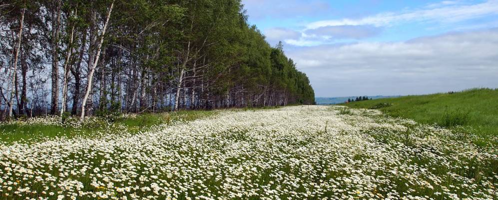 
            Фотография Байгулово