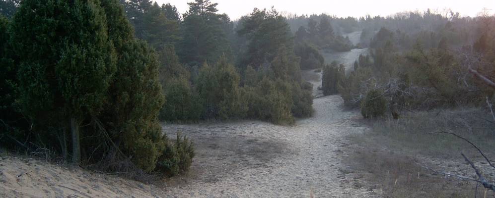 
            Фотография Бугаца