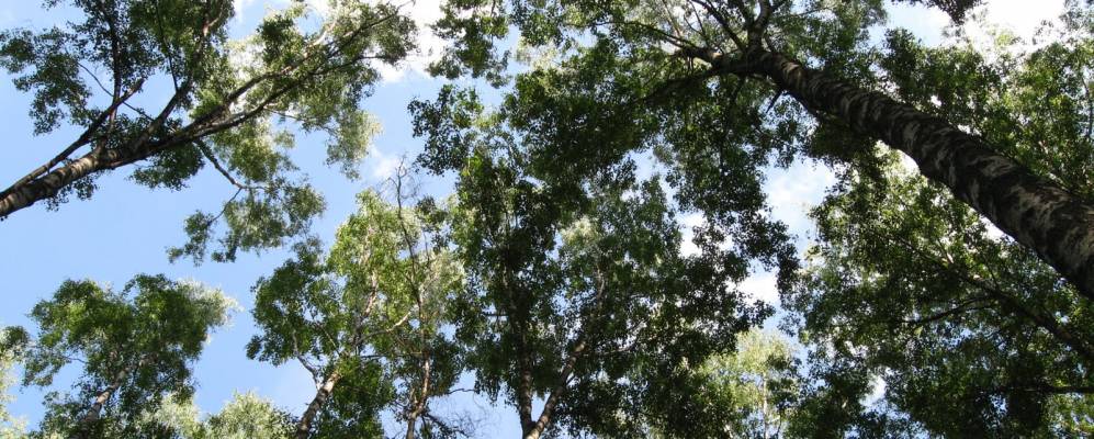 
            Фотография деревни Степаники