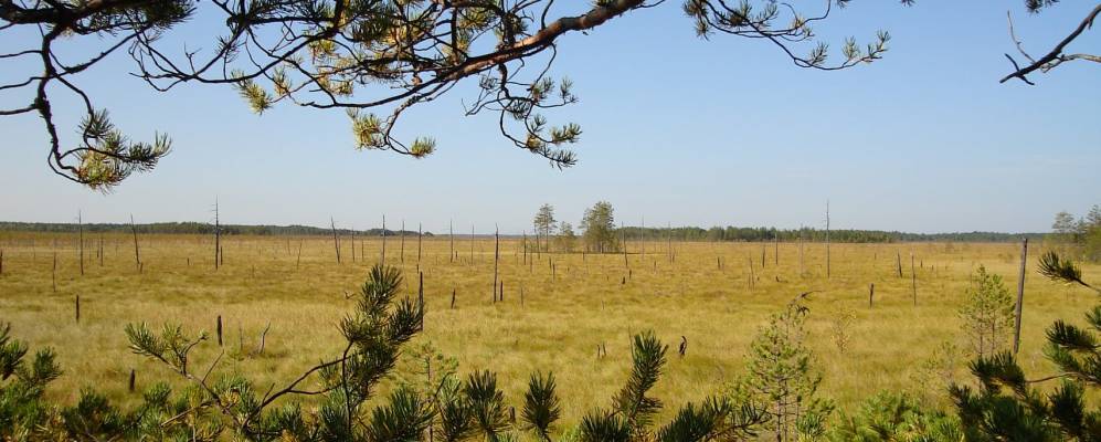 
            Фотография Тюричей