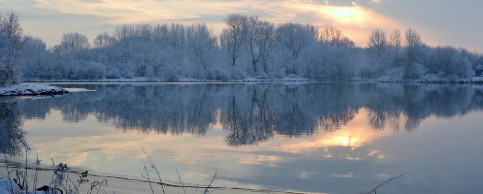 
            Фотография Мамеца