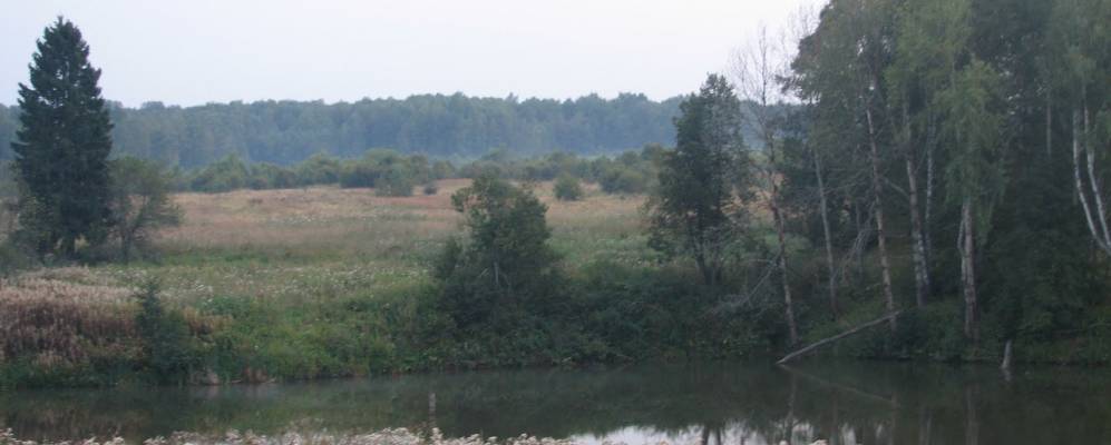 
            Фотография Кареево