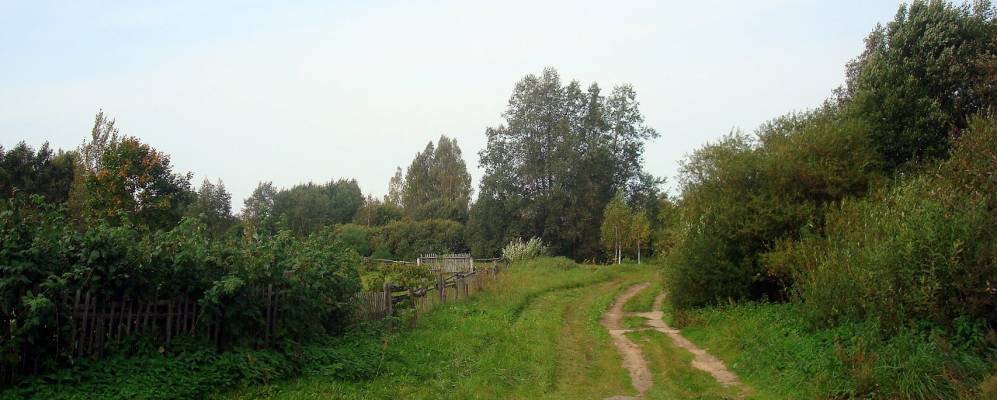 Фотография Артейковичей