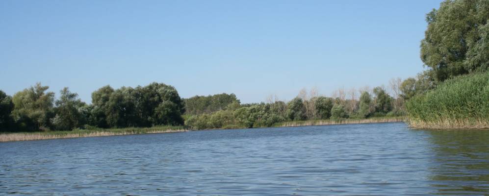 
            Фотография Чичерино