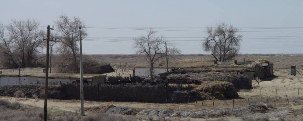 
            Фотография Алтыкудыка