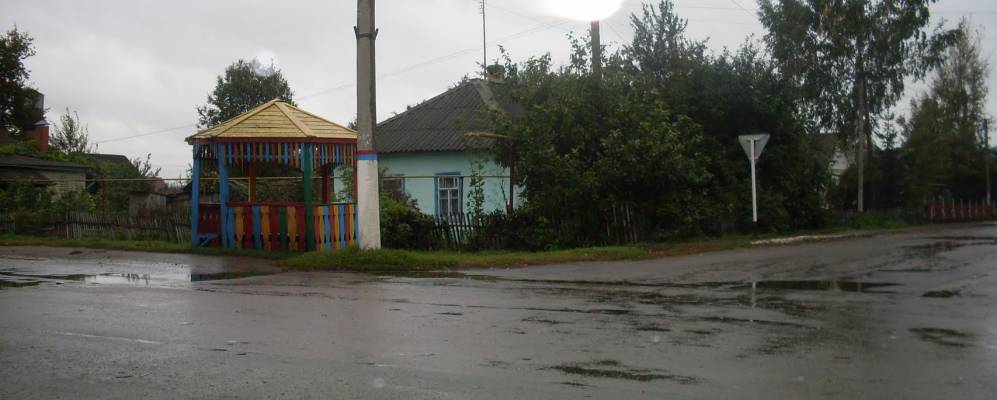 Фотография деревни Прилепы