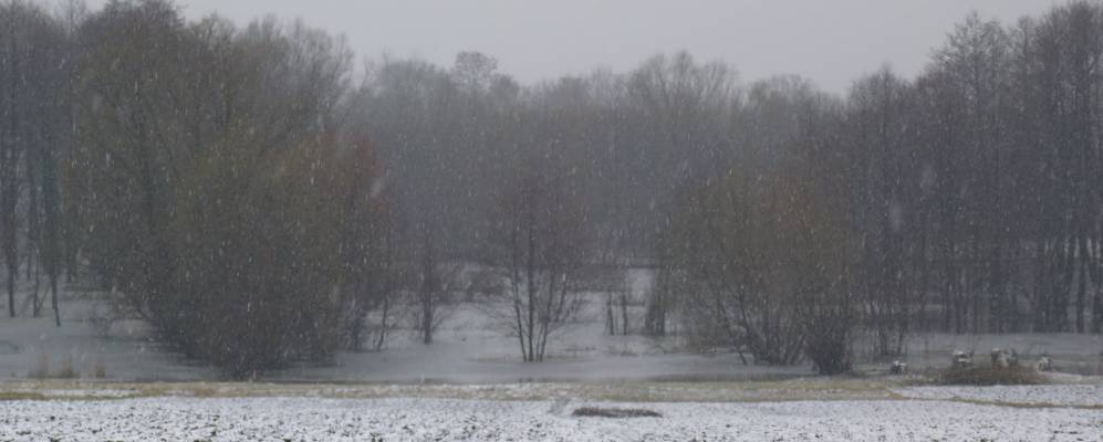 
            Фотография Темного