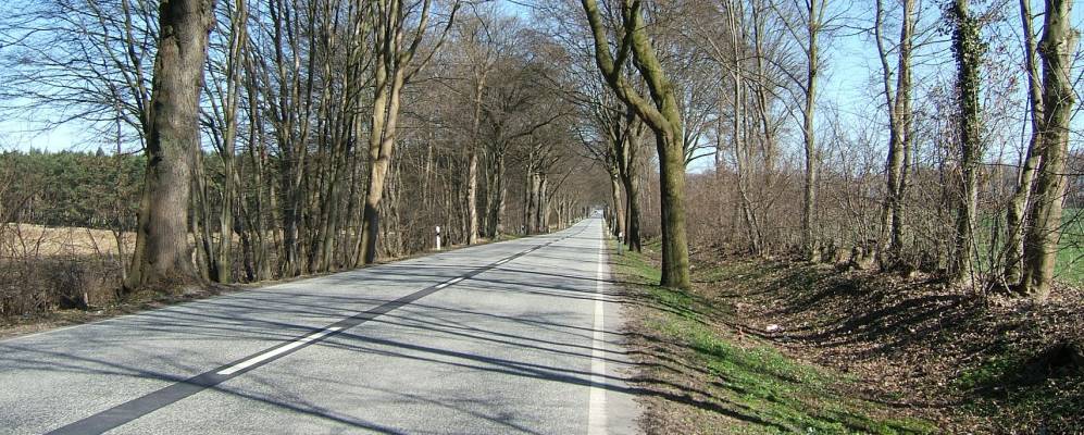 
            Фотография Зельмсдорфа