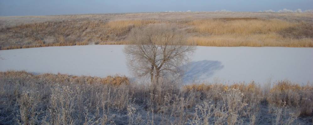 
            Фотография Рогатого Пруда