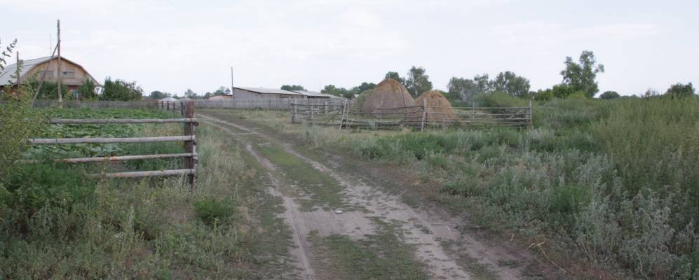 
            Фотография Зорино