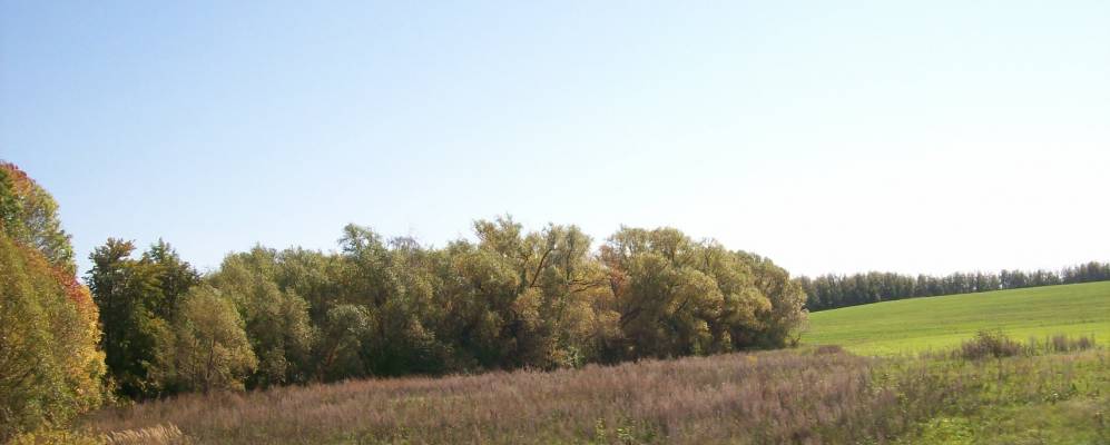 
            Фотография Лаухино