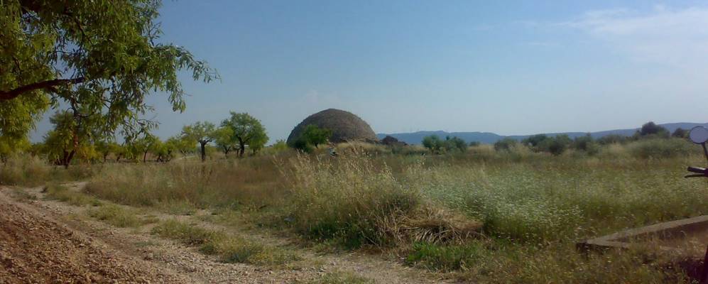 
            Фотография Альперы