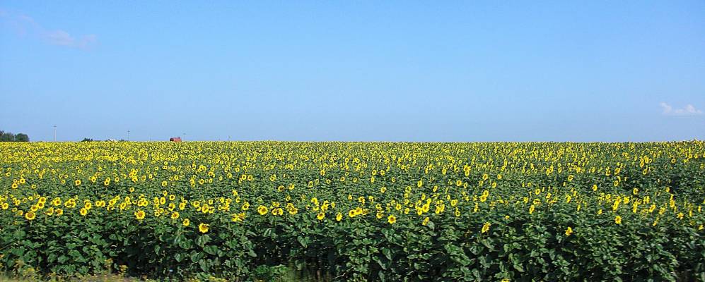 
            Фотография Ивановского