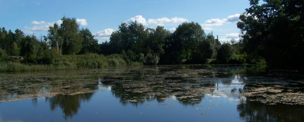 
            Фотография Побычи