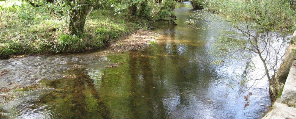 
            Фотография Блайленд