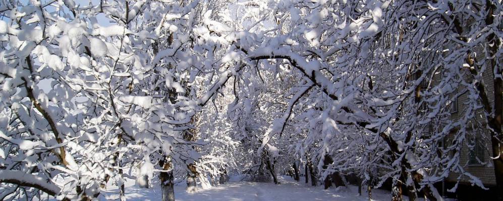 
            Фотография Зунда-Толгы