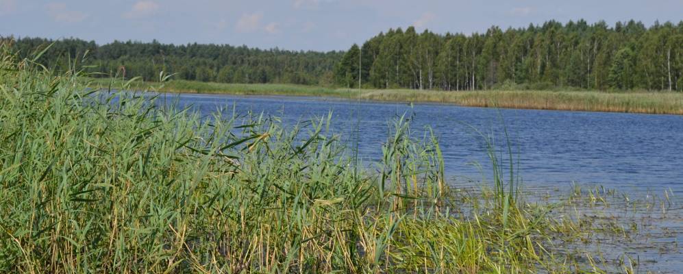 
            Фотография деревни Кукличи