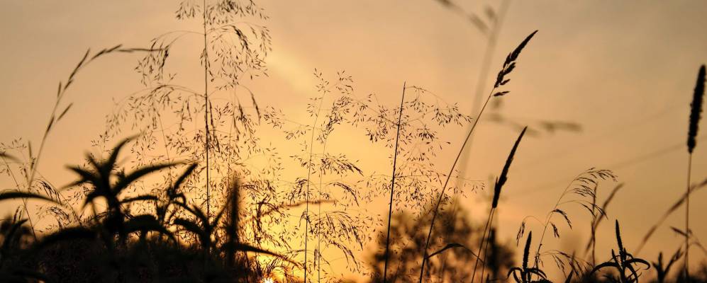 
            Фотография Лашутино