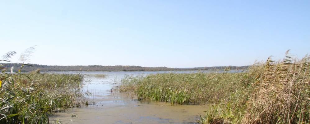 
            Фотография Борисоглеба