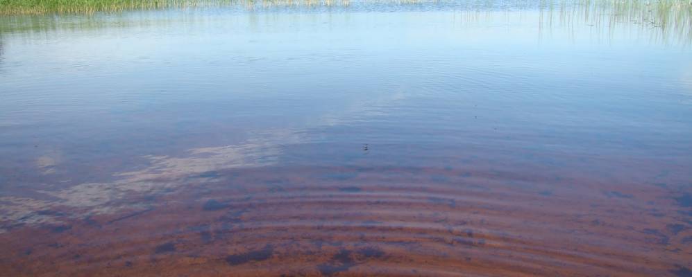 
            Фотография Кулаково