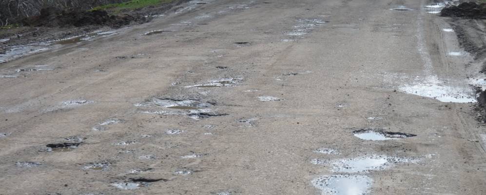 Фотография Петровки