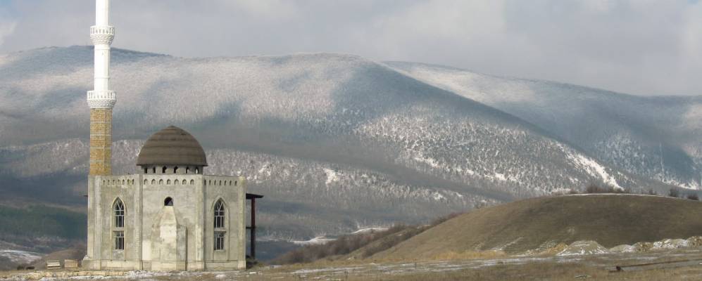 
            Фотография Земляничного