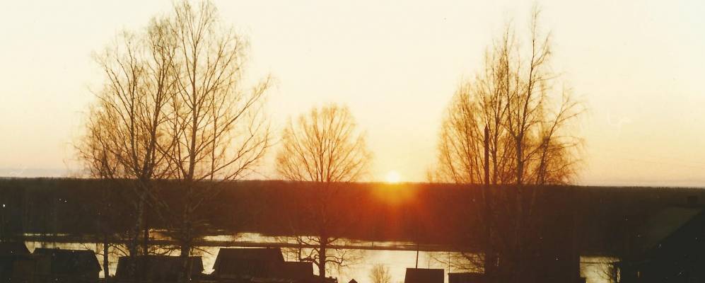 
            Фотография Нижника