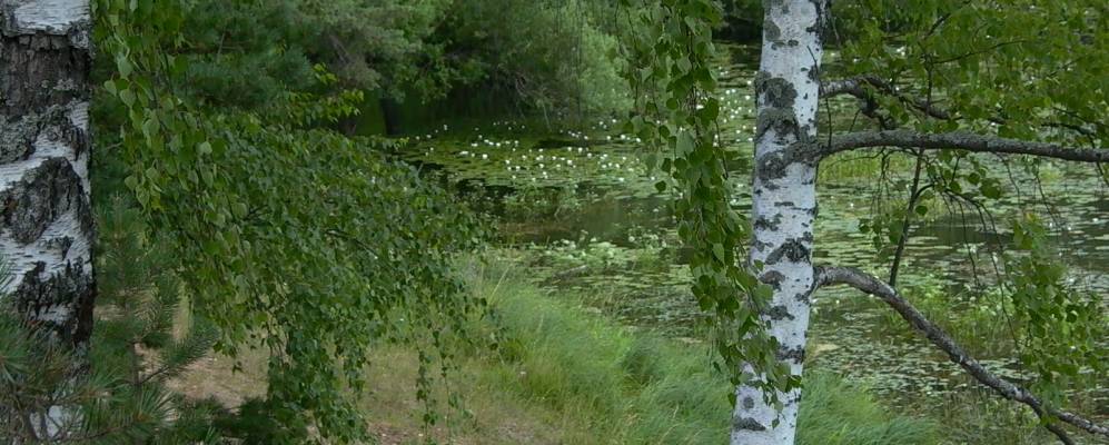 
            Фотография Гузеево