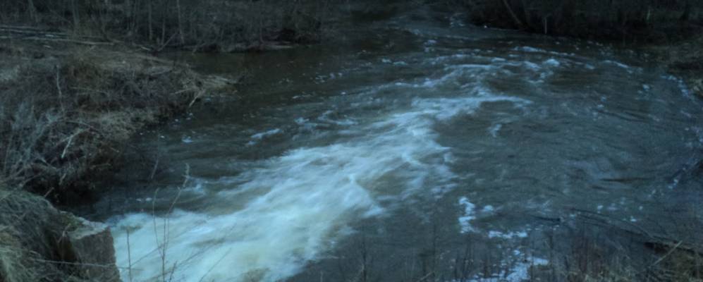 
            Фотография Путятино