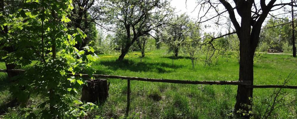 Фотография Писаревки