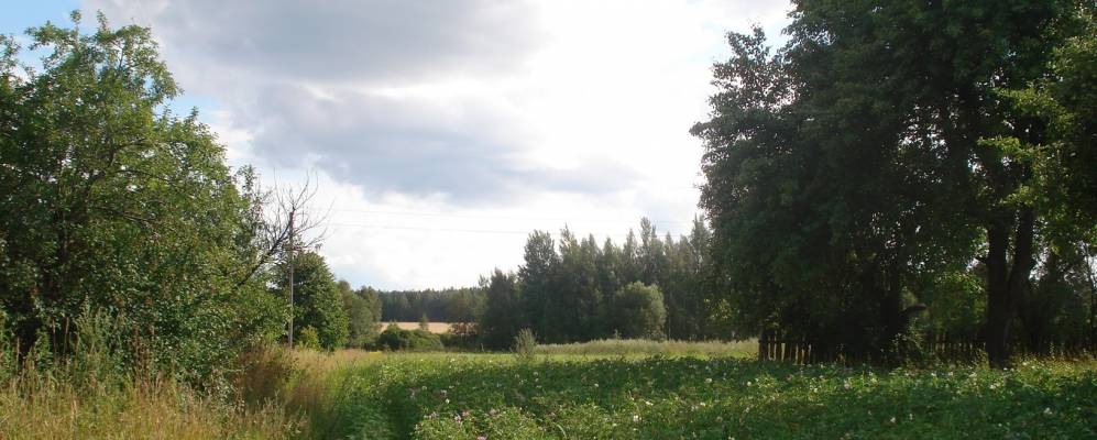 Фотография Залядья